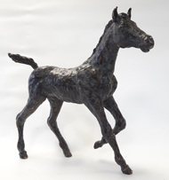 veulen C janna van de Kaa